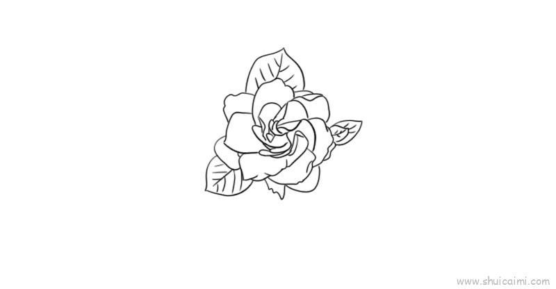 栀子花儿童画怎么画 栀子花简笔画顺序