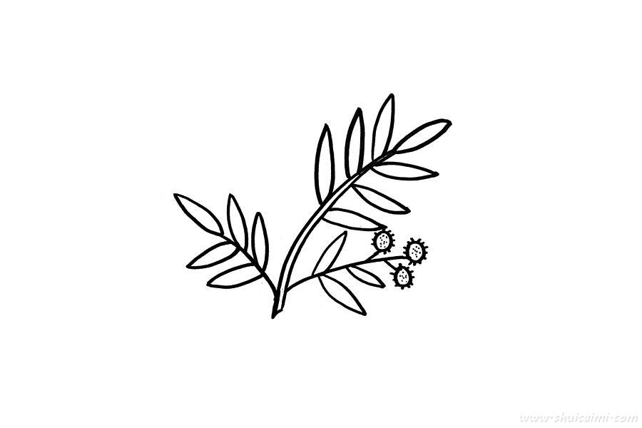 含羞草怎么画 含羞草简笔画图片大全带颜色