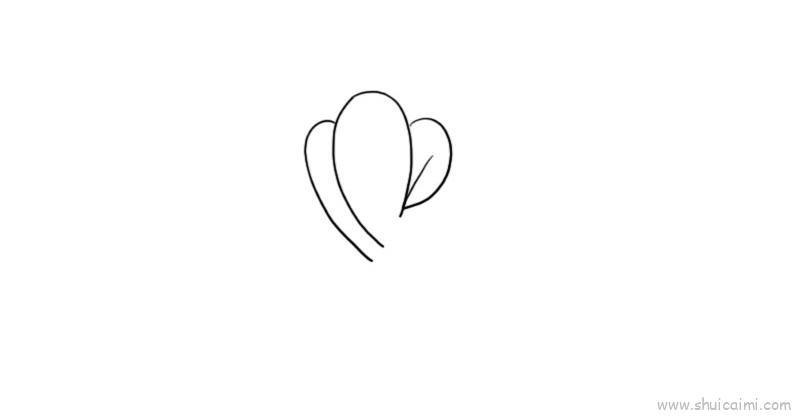 白菜儿童画怎么画 白菜简笔画画法
