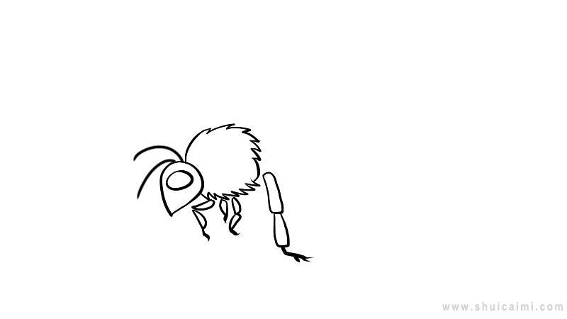 蜜蜂简笔画怎么画 蜜蜂简笔画好看