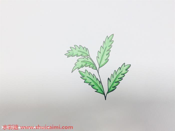 艾草怎么画 艾草简笔画步骤图解教程