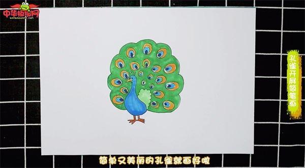 孔雀开屏怎么画 孔雀开屏简笔画简单又漂亮彩色