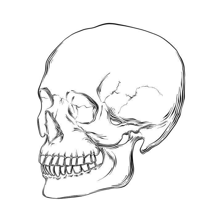 头简笔画 老虎头简笔画