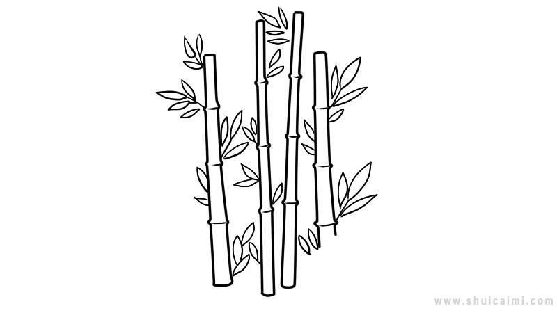 竹子简笔画怎么画 竹子简笔画简单又好看