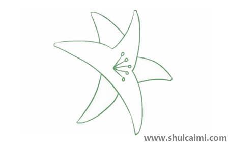 母亲节百合花儿童简笔画