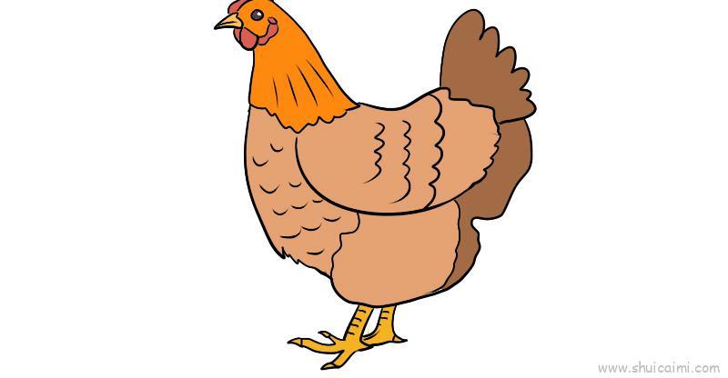 鸡儿童画怎么画 鸡简笔画图片