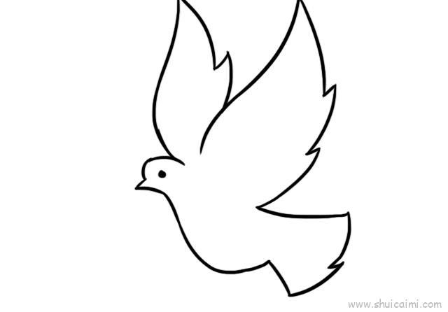 白鸽三步完成儿童画怎么画 白鸽三步完成简笔画画法