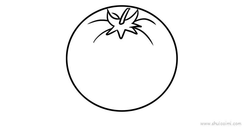 西红柿儿童画怎么画 西红柿简笔画顺序