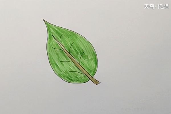 树叶简笔画怎么画 树叶简笔画顺序