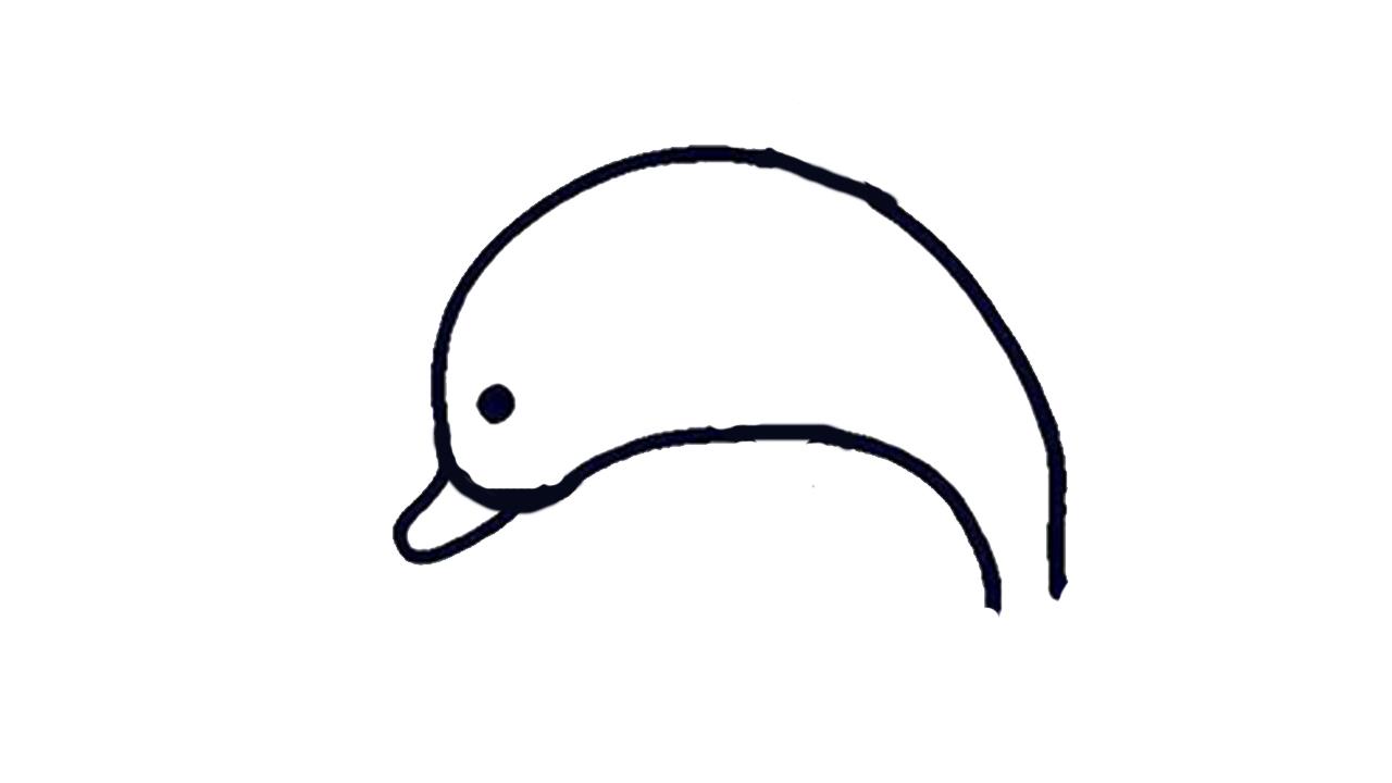 海豚简笔画怎么画 海豚简笔画好看