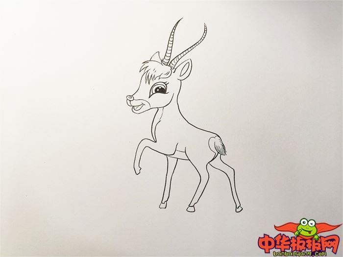小藏羚羊怎么画 小藏羚羊简笔画画法