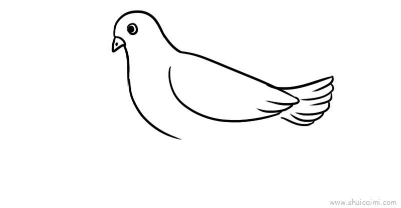白鸽儿童画怎么画 白鸽简笔画图片