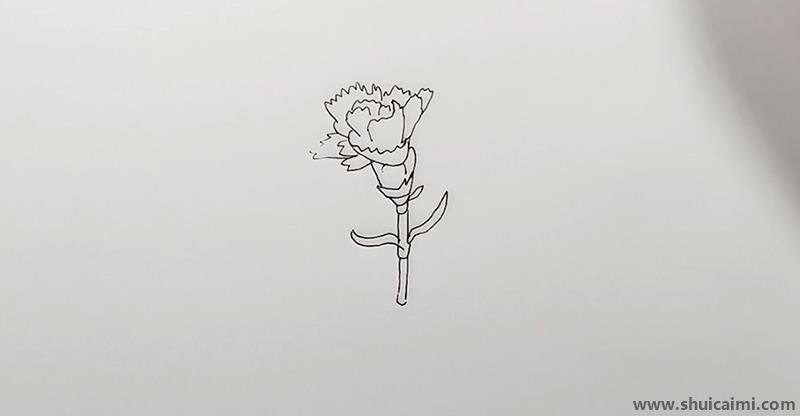 康乃馨儿童画怎么画 彩色康乃馨简笔画好看