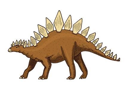 剑龙简笔画 翼龙简笔画图片大全