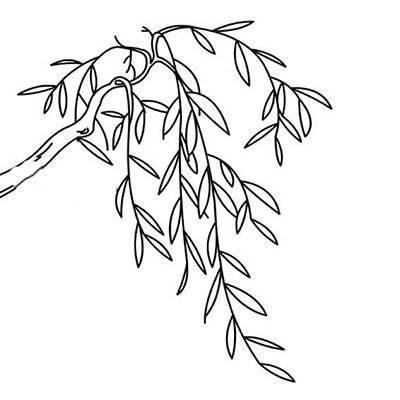 柳树简笔画图片大全 柳树简笔画图片大全大图简单