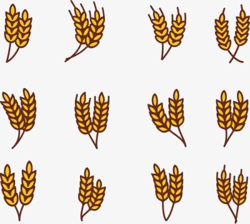 稻穗简笔画 稻穗简笔画图片