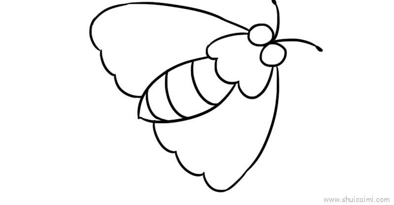 飞蛾儿童画怎么画 飞蛾简笔画画法