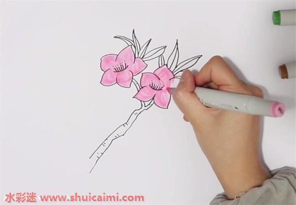 桃花怎么画 桃花简笔画漂亮卡通