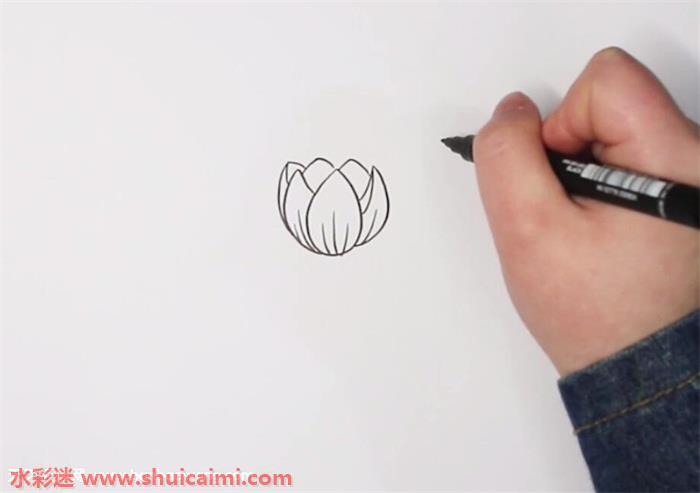 郁金香怎么画 郁金香简笔画简单彩色
