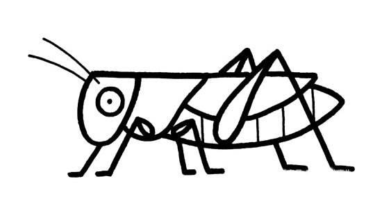 蟋蟀简笔画 蟋蟀简笔画图片带颜色