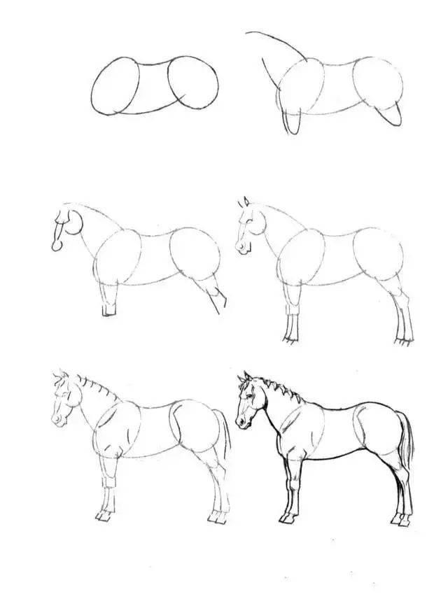 马简笔画图片大全 马简笔画图片大全可爱
