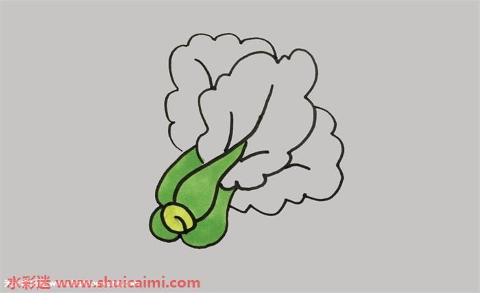 青菜怎么画 青菜简笔画简单易画彩色
