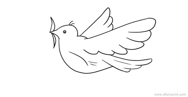 和平鸽儿童画怎么画 和平鸽简笔画简单