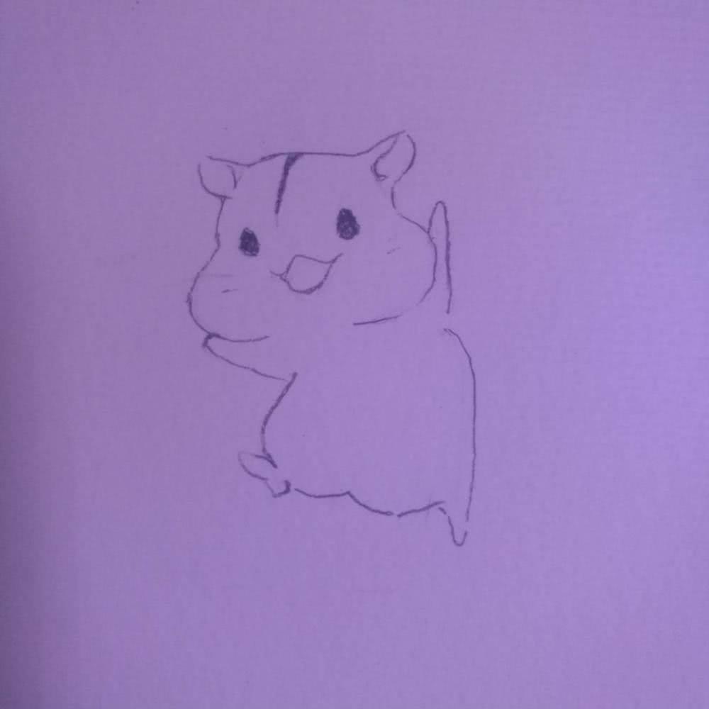 仓鼠简笔画 仓鼠简笔画大全可爱