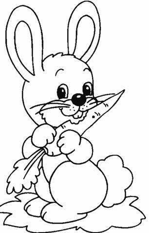 小兔子的简笔画图片大全 小兔子的简笔画图片大全大图