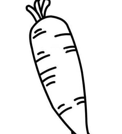 白萝卜简笔画 白萝卜简笔画图片