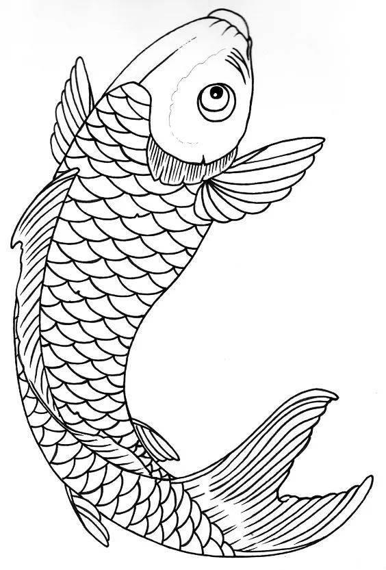 锦鲤简笔画 锦鲤简笔画图片