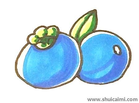 蓝莓儿童简笔画