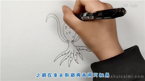 章鱼简笔画怎么画 章鱼简笔画步骤