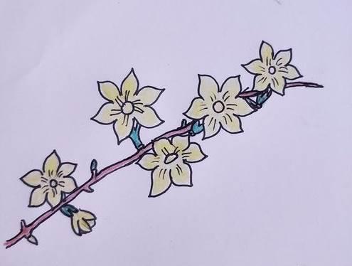 迎春花简笔画 迎春花简笔画简单又漂亮
