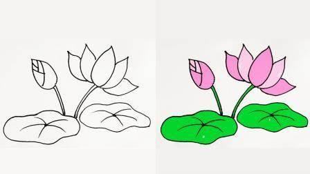 荷花荷叶简笔画 荷花荷叶简笔画彩色