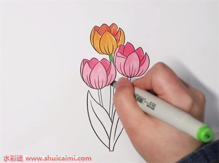郁金香怎么画 郁金香简笔画简单彩色