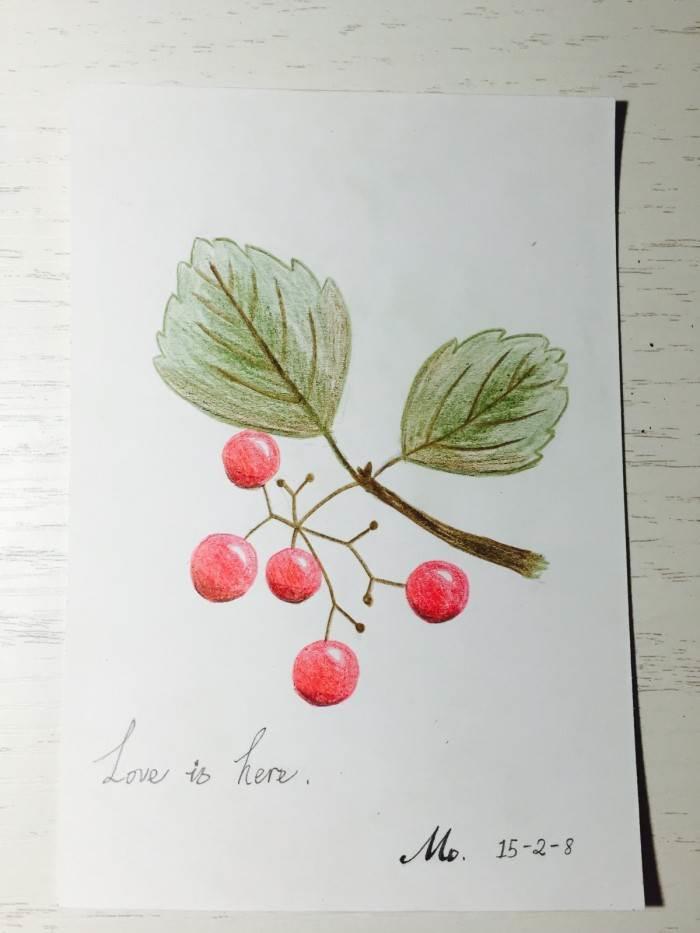 红豆简笔画 红豆简笔画可爱