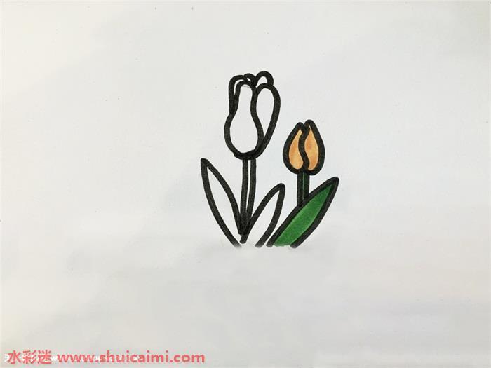 花瓣怎么画 好看花瓣简笔画简单彩色