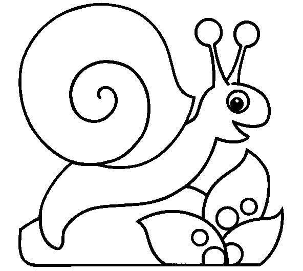 美术简笔画 美术简笔画教程