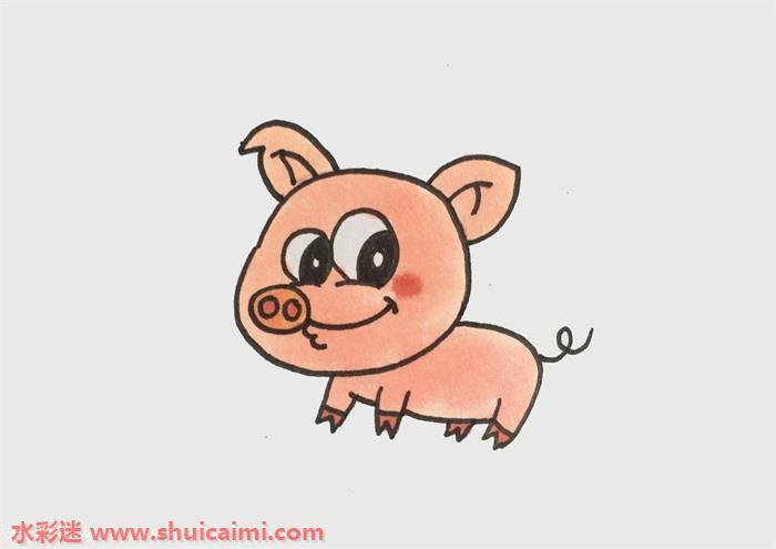 猪猪怎么画 猪猪简笔画彩色