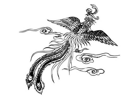凤凰的简笔画图片大全 凤凰的简笔画图片大全带颜色