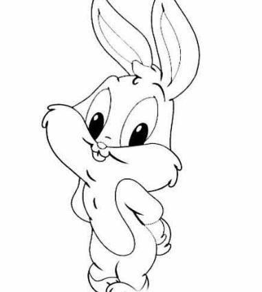 兔子的简笔画图片大全 兔子的简笔画图片大全大图