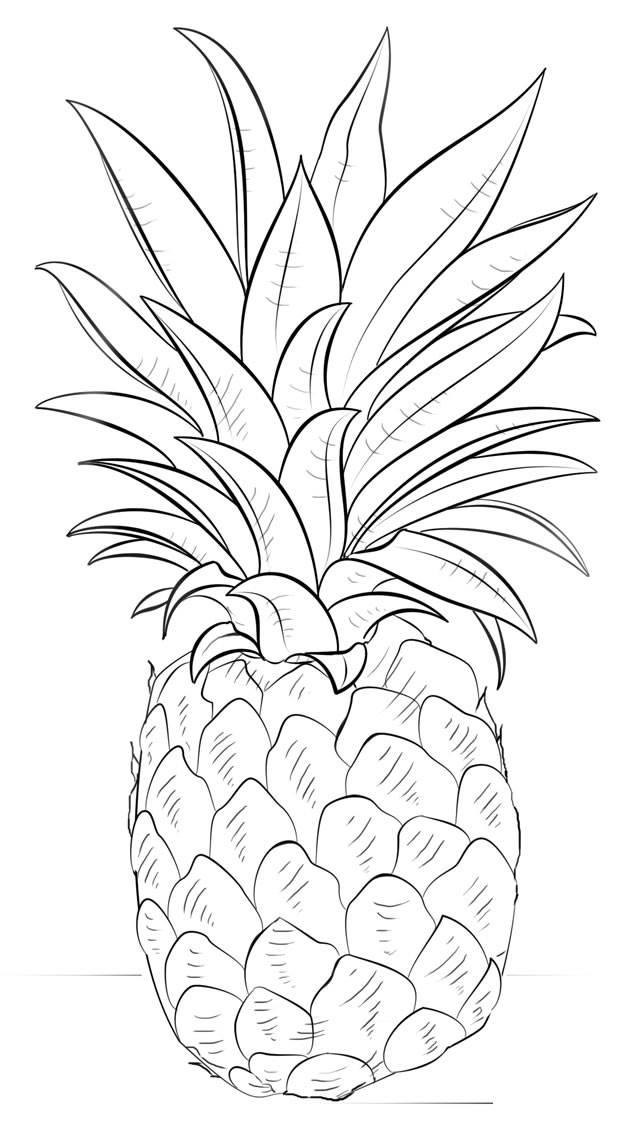 菠萝简笔画 菠萝简笔画法