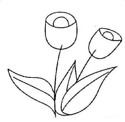 郁金香简笔画 郁金香简笔画图片