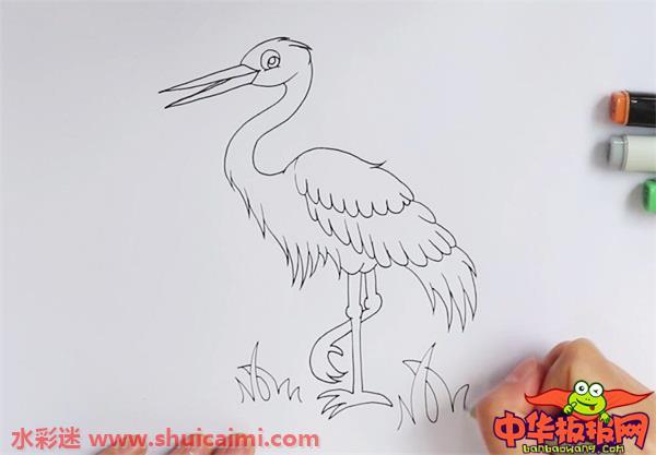白鹭怎么画 白鹭简笔画图片大全带颜色