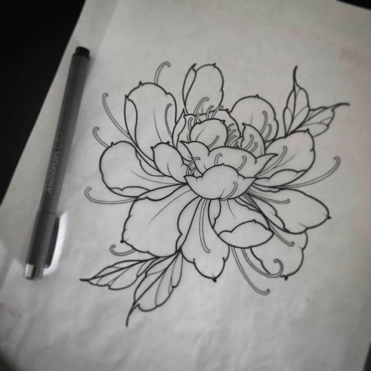 牡丹花简笔画 牡丹花简笔画简单又好看