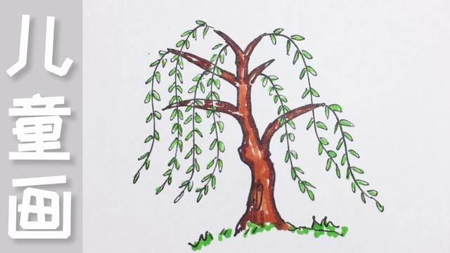 柳树简笔画 柳树简笔画图片带颜色