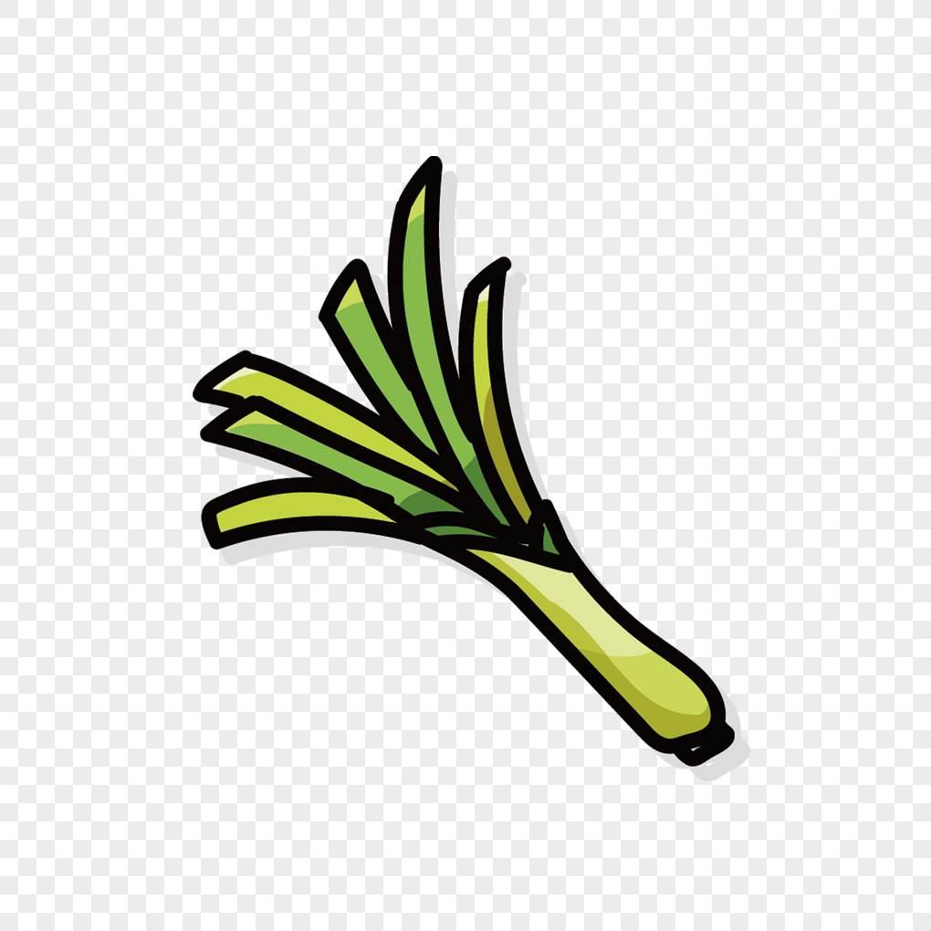 大葱简笔画 大葱简笔画图片带颜色