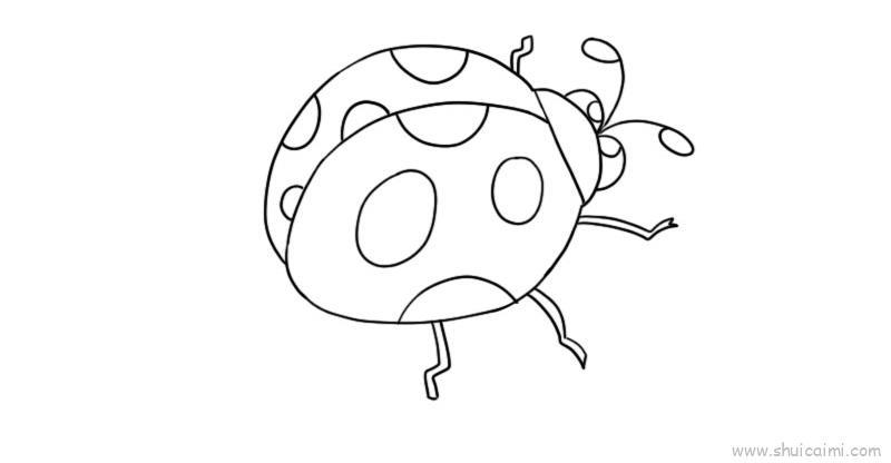 七星瓢虫儿童画怎么画 七星瓢虫简笔画图片大全