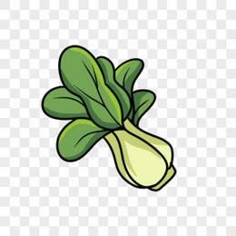 菠菜简笔画 菠菜简笔画图片带颜色